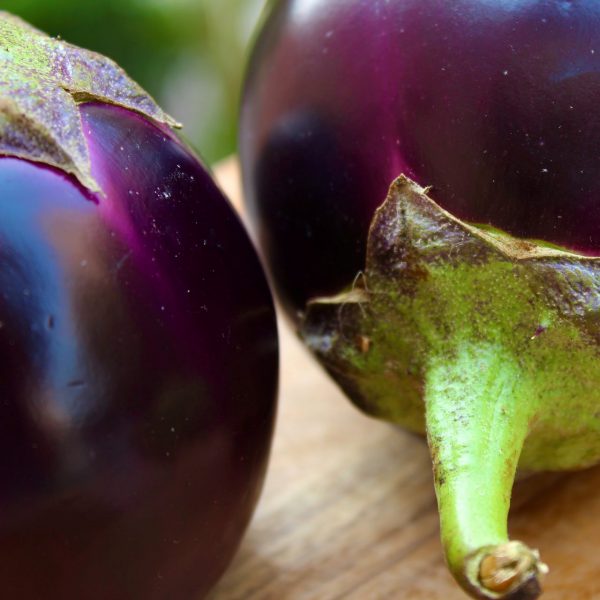 Eggplant Ronde de Valence